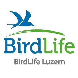 Birdlife Luzern Logo